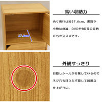 エイ・アイ・エス ドア付きカラーボックス 3段 幅415×奥行292×高さ889mm ホワイト CO-16WH 1台（直送品）