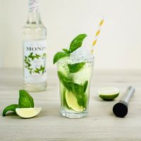 モナン モヒートミント・シロップ 1本