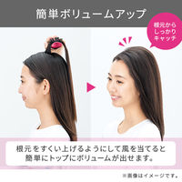 テスコム TC430AーWマイナスイオンカールドライヤー TC430AーW 1台