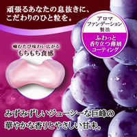 ソフトキャンディ 個包装 お配り菓子 ハイチュウプレミアム　巨峰　32g 1セット（1個×10）