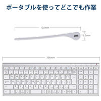 キーボード ワイヤレス ウルトラスリムフルサイズ 2.4Gワイヤレスキーボード GKJ22S iClever