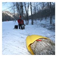 和光商事 スキッドコーン（木寄せキャップ） 40-230-01 1個（直送品）