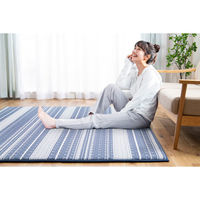 アイリスオーヤマ ラグ カーペット 185×240cm 3畳 春夏 撥水 遮音 ラ・クッションラグ ボーダー ACRBO-1824 ネイビー 1枚（直送品）