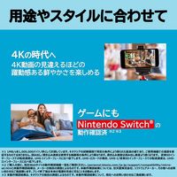 microSDカード 256GB V30 U3 C10 A1 KMU-B256G 1個 KIOXIA