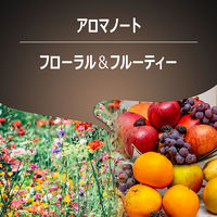 【コーヒー粉】LAVAZZA エスプレッソ 1袋（250g）