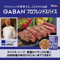 ６０ｇＧＡＢＡＮ　プロブレンドスパイス 2本 ハウス食品