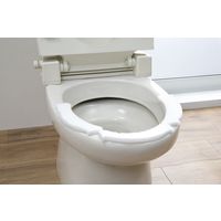 サンコー トイレ 汚れ防止 おしっこ吸うパット 1箱 30コ入 掃除 飛び散り 臭い対策 ホワイト リーフ箱 日本製 AA-21