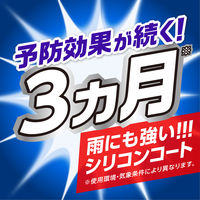 アース製薬 水性クモの巣消滅ジェット 400ML クモ 駆除 スプレー 929870 3個