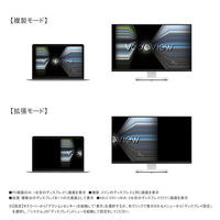 DisplyaPort to HDMI変換アダプタ 4K60Hz VV-DPHD-UH-DO 1個