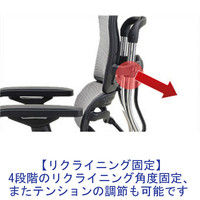 【軒先渡し】 エルゴヒューマン プロ ロー 背メッシュ座モールドクッション 可動肘付 独立式ランバーサポート付 レッド×ブラック 1脚（直送品）