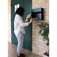 【軒先渡し】ヤマソロ Land ランド 壁掛けポスト グリーン 幅350mm 1台（直送品）