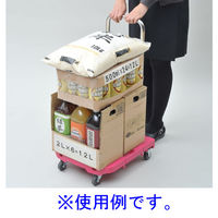 【台車】 YAMAZEN 折りたたみ台車 CARRYお手軽 OTG-E50RP*R 1台