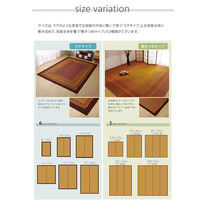 イケヒコ 純国産 い草ラグカーペット 『ランクス総色』 ベージュ 約191×191cm 1枚（直送品）