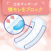 吸水ナプキン 安心の少量用 40cc 22枚 羽なし 23cm ポイズ さらさら 吸水ライナー 無香料 1セット（22枚×3）尿漏れ