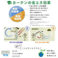 ユニベール ライリーストライプ W100xH176 4548654713106 1セット(レースカーテン2枚