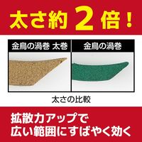 金鳥の渦巻ＰＲＯ　太巻　1セット（10巻入×3箱） ヤブ蚊 ハエ 蚊  屋外 KINCHO キンチョー