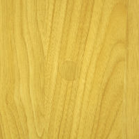 エイ・アイ・エス 2ドア収納ボックス ナチュラル 幅395×奥行380×高さ1667mm GTBX-002 NA 1台（直送品）