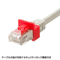 サンワサプライ RJ-45プラグロック ADT-RJ45LOCK 1セット（直送品）