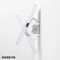 【処分品】サンワサプライ iPad用壁面取付けケース CR-LASTIP26W 1台（直送品）