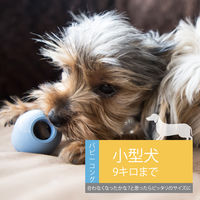 パピーコング S 犬用おもちゃ コングジャパン