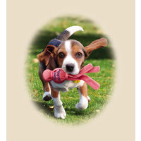 コング スモールウァバ ピンク 犬用おもちゃ コングジャパン