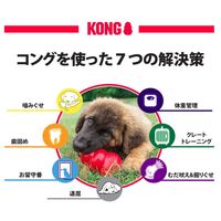 コング S 犬用おもちゃ コングジャパン