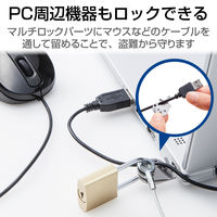 セキュリティワイヤー/南京錠/マルチロックパーツ/スロットサイズ(3×7mm・2.5×6mm・3.2×4.5mm)/通常キー ESL-3A（直送品）