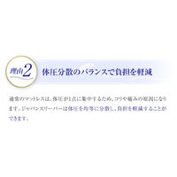 ファミリー・ライフ 形状記憶マットレス プレミアム ダブル <ジャパンスリーパー> 幅1400×高さ1950× 奥行50mm（直送品）
