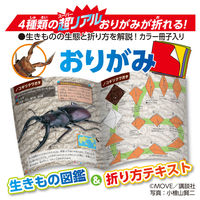 トーヨー MOVE昆虫おりがみ 036502 1セット(3冊)