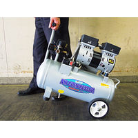 フローバル 静音オイルレスエアーコンプレッサー アルミタンク仕様 21L PCR2110 1個