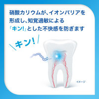 歯磨き粉 フッ素 シュミテクト やさしくホワイトニングEX 95g Haleonジャパン 薬用高濃度フッ素配合