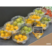 パックスタイル PS BPコンビカップ2M 本体 クリア 00463529 1包:800枚(50×16)