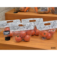 パックスタイル PS チャック付スタンド袋S MS白 CH2621 00527942 1包：500枚（50×10）（直送品）