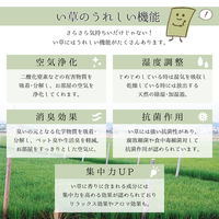 萩原 国産い草センターラグ 築彩（ちくさい） ブルー 約261×352cm 1枚（直送品）