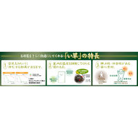 萩原 国産い草センターラグ（裏貼り） イデア NA/BK ナチュラル/ブラック 約261×352cm 1枚（直送品）