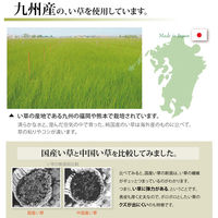イケヒコ 純国産 い草 上敷き カーペット 糸引織 『柿田川』 江戸間4.5畳 約2610×2610mm 1枚（直送品）
