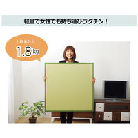 イケヒコ・コーポレーション スカッシュ GN 約82×82×1.7cm 1110460000000 1セット(4枚入)