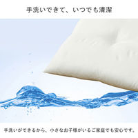 イケヒコ・コーポレーション ヌード 45角シート IV 約45×45cm 1210660000000 1組(2個)