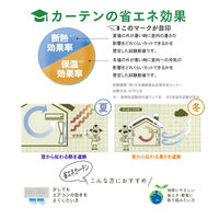 ユニベール ブラットレース WH W100xH133 4548654516967 1組(2枚)