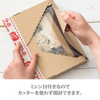 ヘッズ 無地コンパクト宅配ボックス-1(20枚) M-TBX1 1セット(200枚:20枚×10パック)