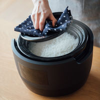 シロカ 長谷園×siroca かまどさん電気 SR-E111（K） 1台