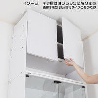 充英アート JAJAN コレクションラック専用上置 幅833mm 汎用285mm奥行 ロータイプ ブラック 設置可能天井高2250～2520mm（直送品）