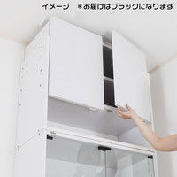 充英アート JAJAN コレクションラック専用上置 幅833mm 深型385mm奥行 ロータイプ ブラック 設置可能天井高2250～2520mm（直送品）