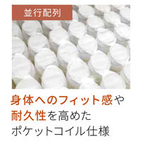 フランスベッド（FranceBed） マットレス シングル ポケットコイル DE-P100 033041100 1枚