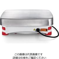 オーハウス 上皿天びん エクスプローラーシリーズ 35kg EX35001G 1個 61-5079-58（直送品）