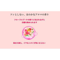 ホーユー ビゲン 香りのヘアカラークリーム4A アッシュBR 730134 1ケース(27個入)（直送品）