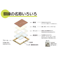 大仙 ベルク L ブラウン 33R08602002 1セット(1個×20)