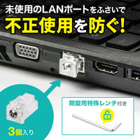 サンワサプライ LANポートロック SLE-12SN 1セット(3個入)