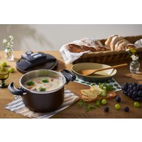 アイリスオーヤマ 両手圧力鍋５Ｌ　ブラウン NRAN-5L 1個（直送品）