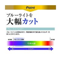 保護フィルム ホンダ フリード GT系 3代目 11.4インチ 9H ブルーライトカット n9bc-lscn12-mc007143 1枚（直送品）